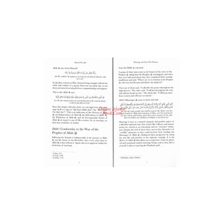 Married Ever After by Ali Hammuda
ISBN: 9781847742391