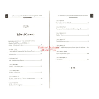 A Commentary on the Beneficial, Essential Significant Treatise
ISBN: 9798894431536