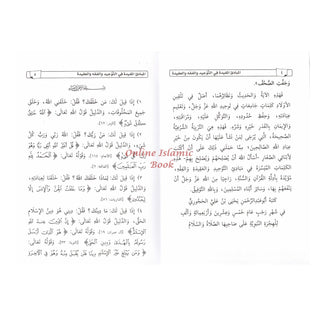 Al-Mubaadee Al-Mufeed المبادئ المفيدة (Arabic) by Yahya bin Ali al-Hajouri