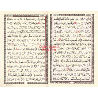 Hafzi Quran 15 lines Uthmani script Arabic Only
