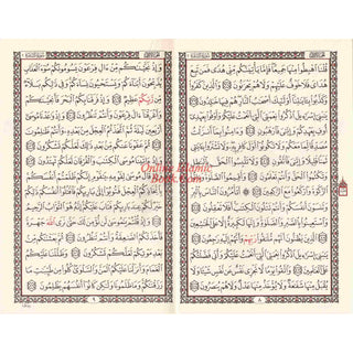 Hafzi Quran 15 lines Uthmani script Arabic Only