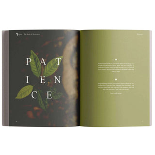 The Book of Motivation by Mufti Menk